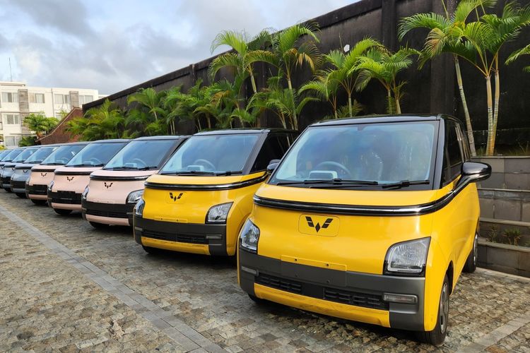 mobil listrik, mobil listrik murah, konsumen mobil listrik, panduan beli mobil listrik, tips mobil listrik, Jangan Asal, Begini Panduan Cerdas Beli Mobil Listrik Murah