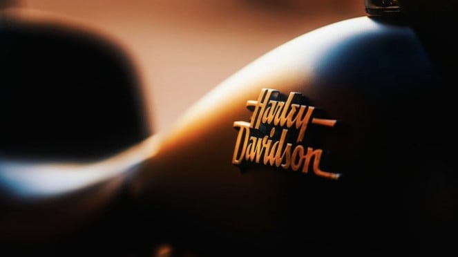 Logo Harley-Davidson Logo Harley-Davidson