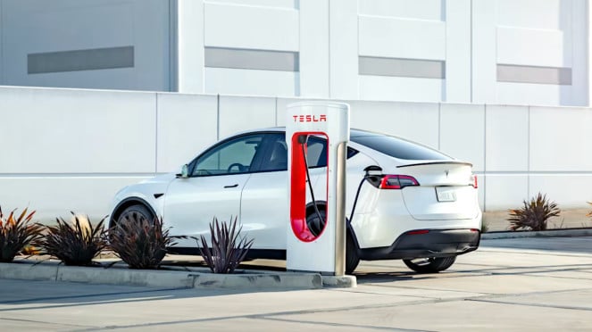 Tesla Model Y Tesla Model Y