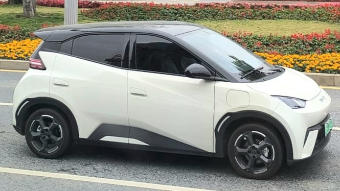BYD Seagull