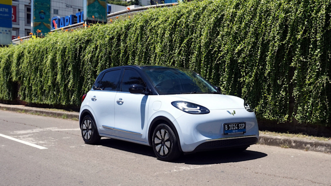 Wuling BinguoEV Wuling BinguoEV
