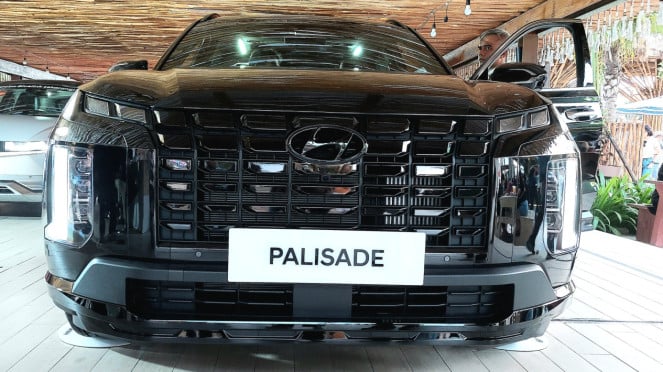 Palisade XRT Palisade XRT