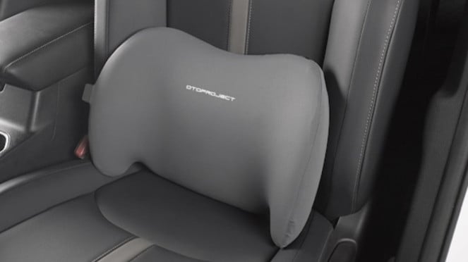 Lumbar cushion Lumbar cushion