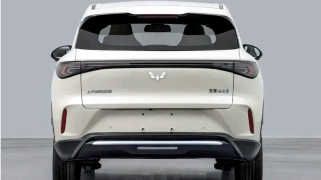 Wuling Bingo S Wuling Bingo S