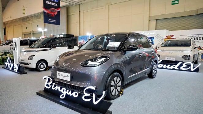 Wuling BinguoEV Wuling BinguoEV
