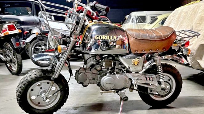 Honda Gorilla Honda Gorilla