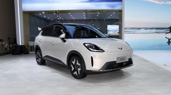 Wuling Binguo S Wuling Binguo S