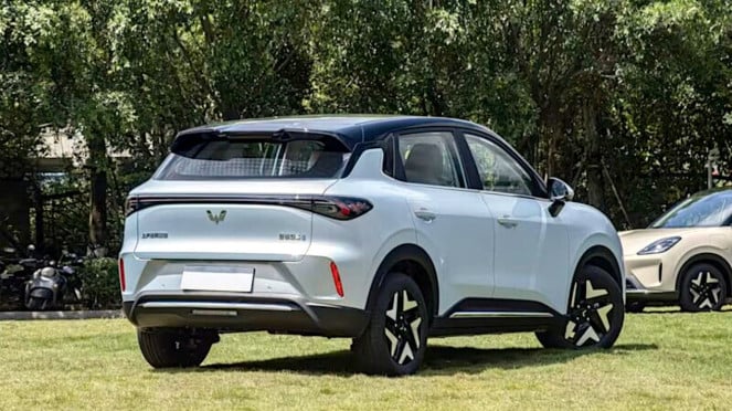Wuling Binguo S Wuling Binguo S