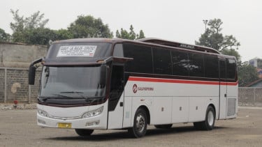 Bus Primajasa