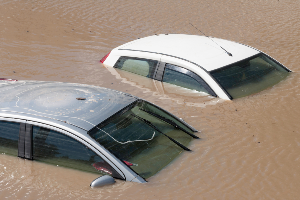 Mobil bekas, Jeffrey Andika, mobil bekas, Banjir Jakarta, inspeksi mobil, Cara Cek Mobil Bekas Terkena Banjir