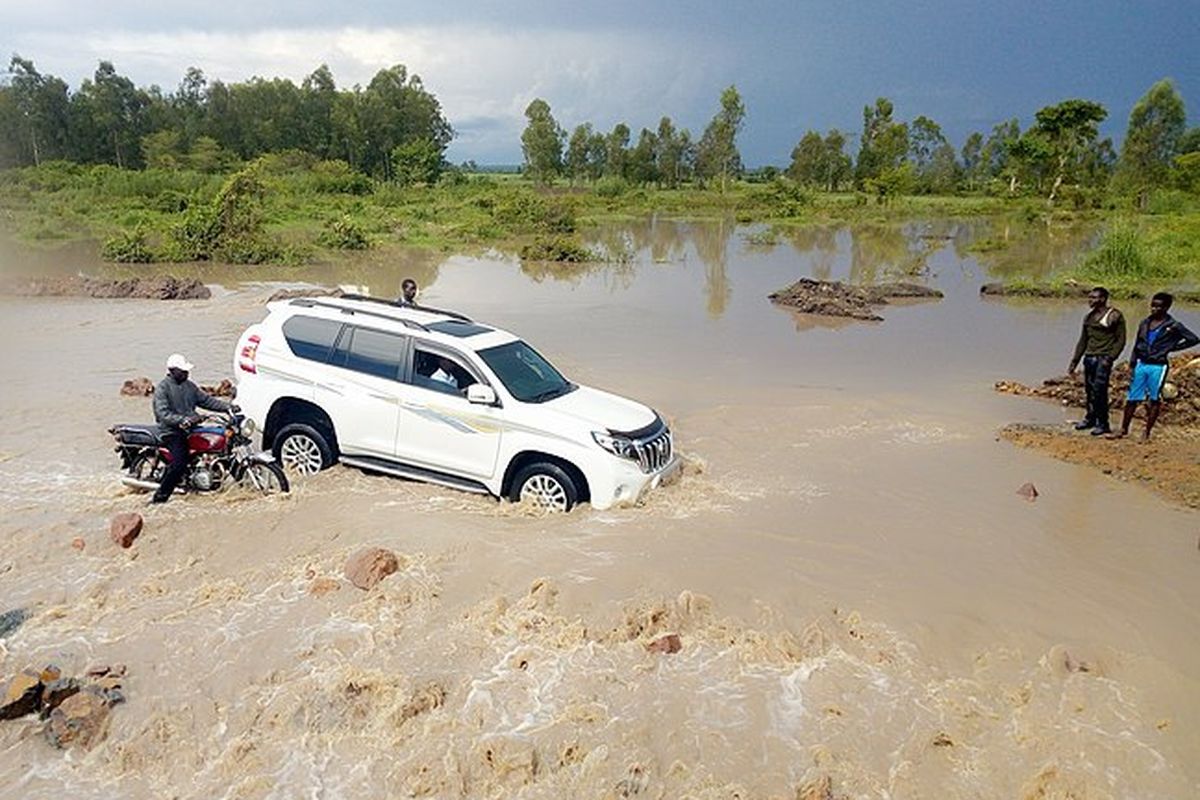 Mitos Mobil Diesel Tangguh di Banjir: Apa Faktanya?