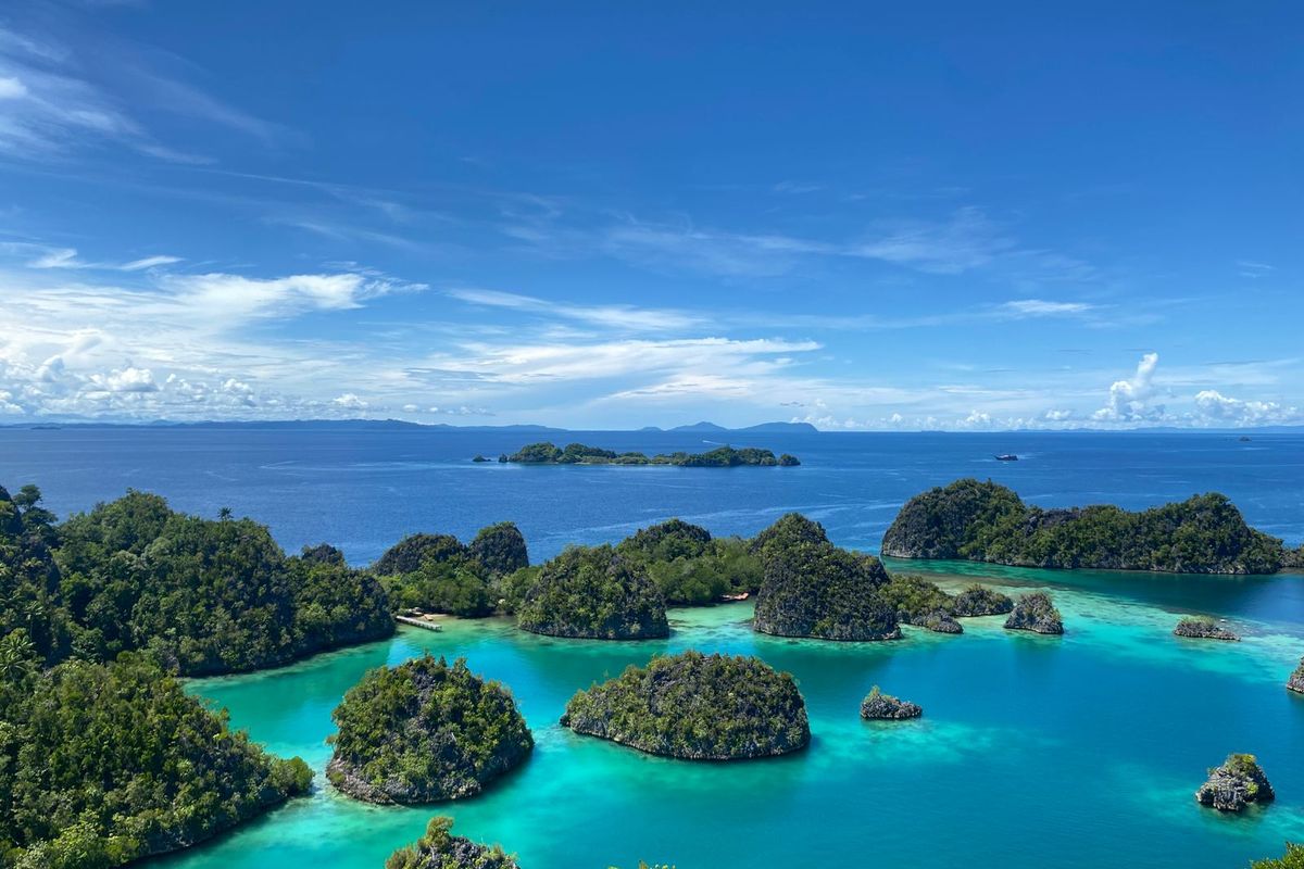 pertambangan nikel, industri otomotif, kendaraan listrik, Industri Otomotif, Kendaraan Listrik, Kendaraan listrik, Raja Ampat, Industri Otomotif dan Kontroversi Pertambangan Nikel di Raja Ampat