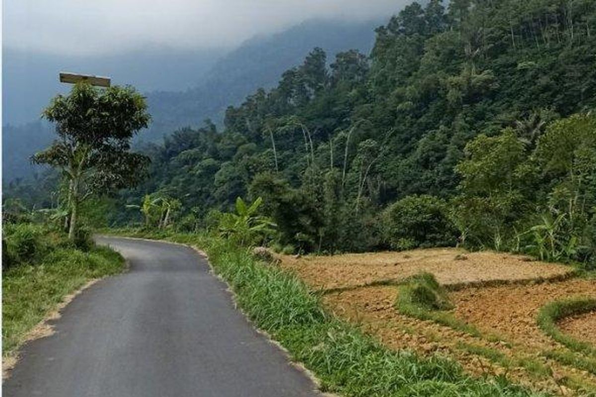 keselamatan berkendara, tips mengemudi, Marka jalan, jalan tanpa marka, cara berkendara dengan baik, tanpa marka jalan, Cara Berkendara Aman di Jalan Tanpa Marka