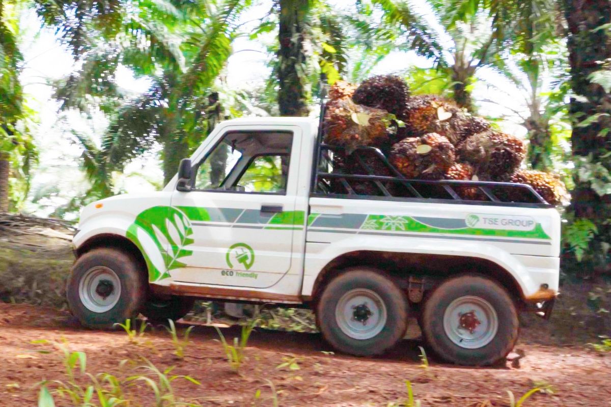 electric vehicle, truk listrik, Truk listrik, Electric Vehicle, Kendaraan Listrik Mulai Masuk Sektor Perkebunan