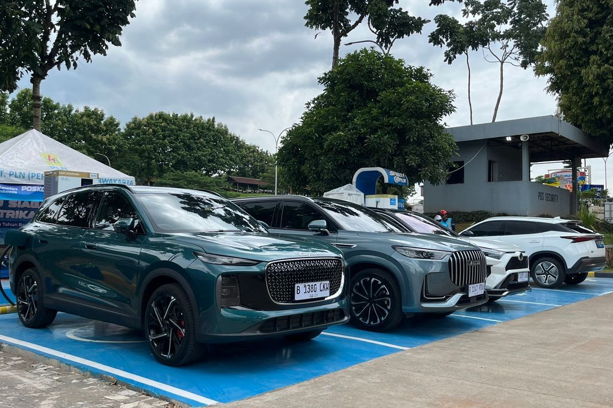 Perluas Insentif Nonfiskal Mobil Listrik ke Seluruh Indonesia