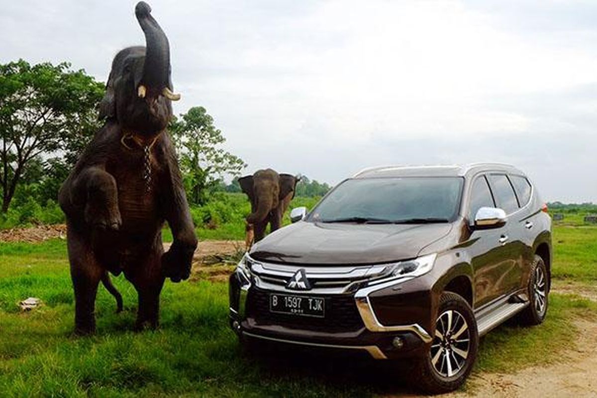 Pajero Sport, Fortuner, mobil, mobil bekas, SUV ladder frame, fortuner, pajero sport, SUV Ladder Frame, Harga SUV Ladder Frame Bekas Juli 2025, Pajero Sport dan Fortuner Rp 200 Jutaan