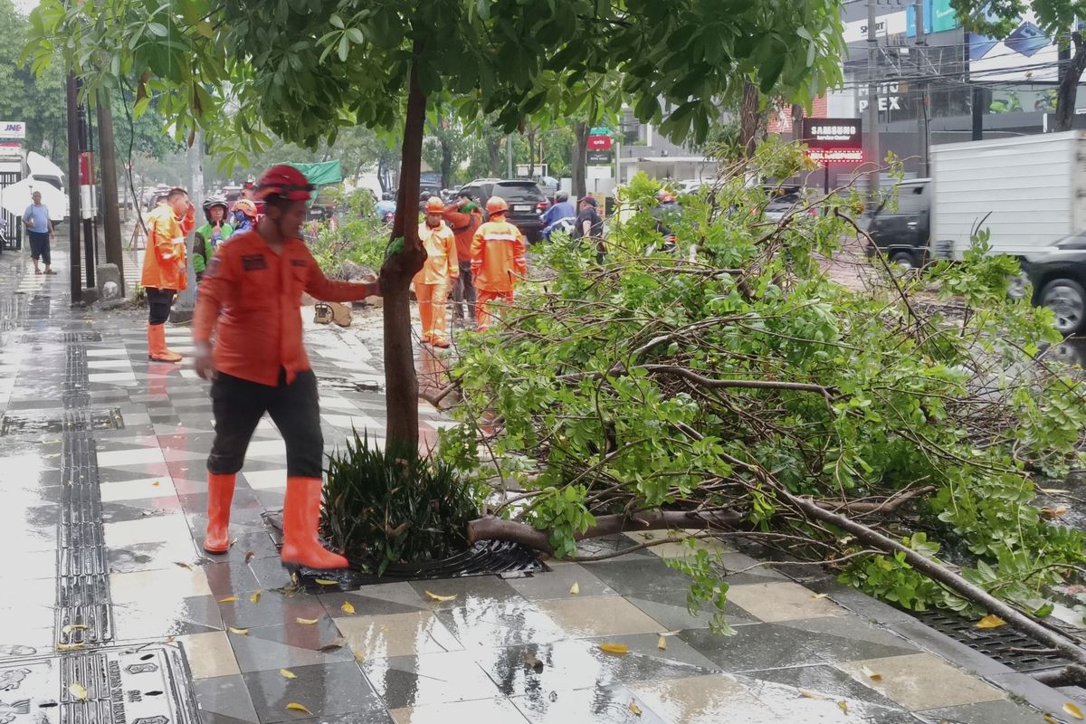 Pengendara di Jakarta Diimbau Waspadai Pohon Tumbang dan Genangan