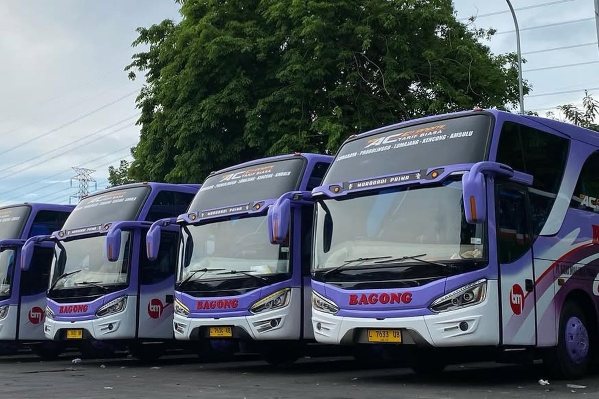rute baru, bus AKDP, tiket bus, naik bus, PO Bagong, PO Bagong Buka Rute Baru: Surabaya-Ambulu
