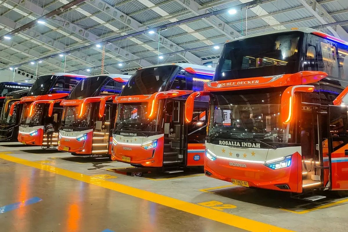 Denny Martin, bus Rosalia Indah, bus rosalia indah, keluhan penumpang, kecoa dalam bus, Pengalaman Buruk Penumpang Bus: Kecoa dan Kurangnya Respon