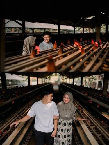 Array,Viral Pasangan Pemotretan Prewedding di Kandang Ayam, Hasil Foto Tak Terduga