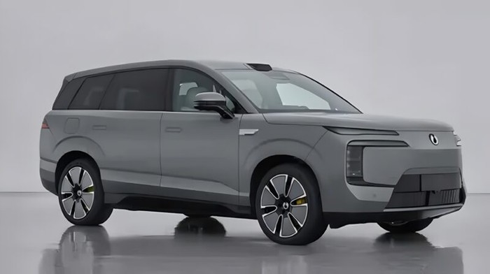 Array,Denza Rilis SUV 6-Seater, Harga Mulai Rp 800 Jutaan