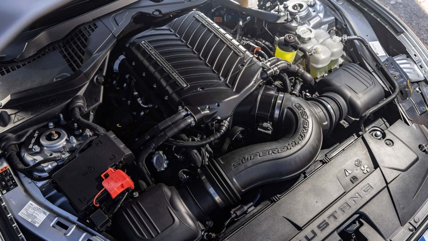 La Shelby Super Snake 2026 est une Mustang monstrueuse de 830 chevaux