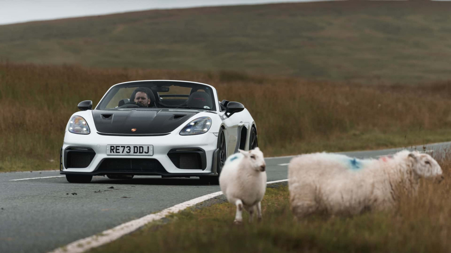 Könnte Porsche die vollelektrischen 718 komplett einstellen?