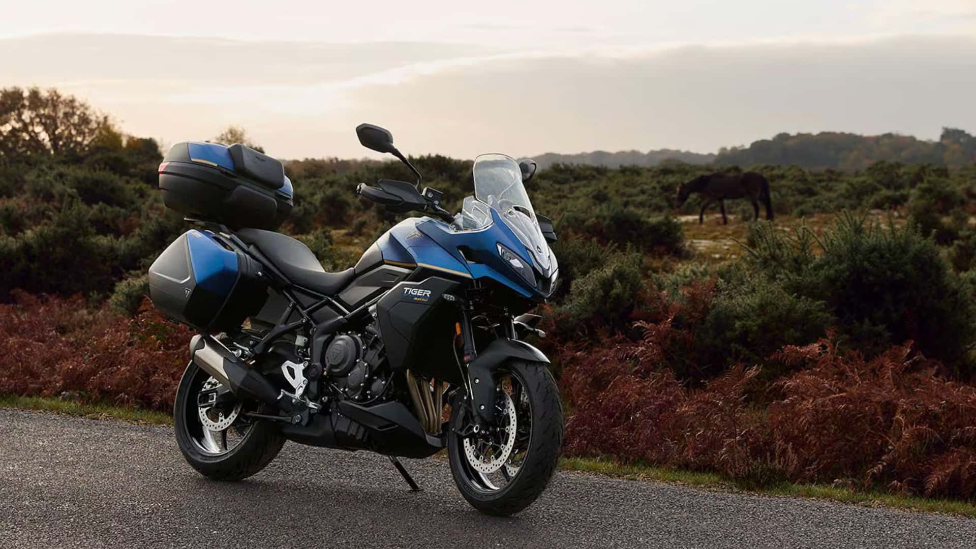 La nueva Triumph Tiger Sport 800 Tour llega con todo para enamorar
