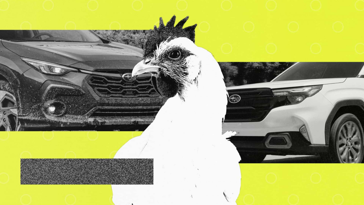 Fun Fact: Three Percent Of Subaru Owners Haul Chickens