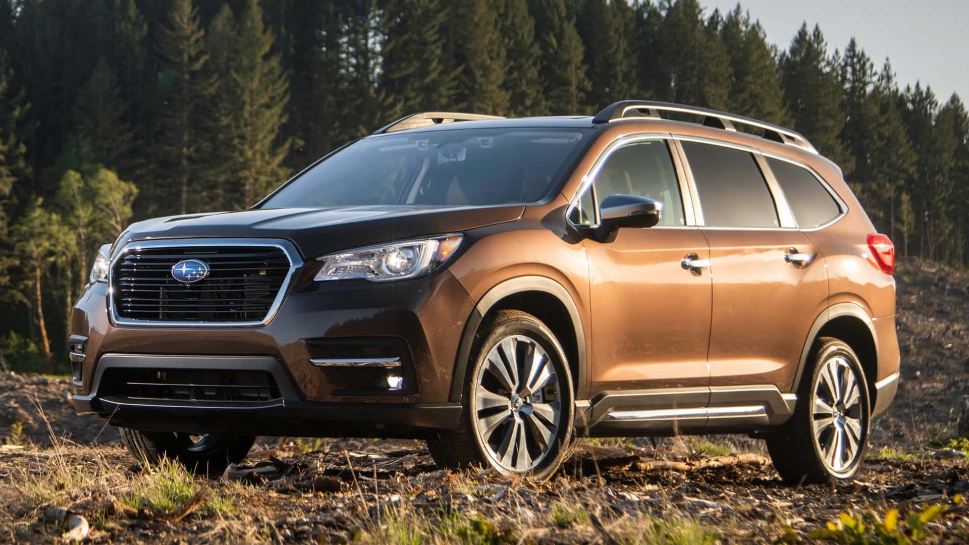 Used Subaru Ascent