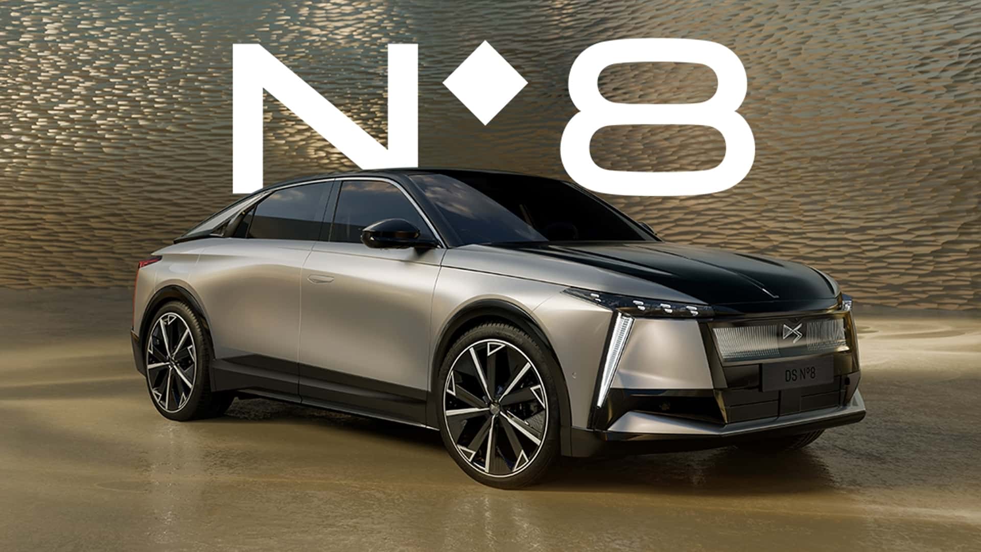 DS Nº8 2025