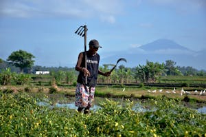 Heri Santoso