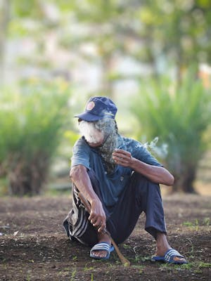 Arif Hardian