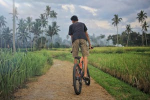 Iwan Halim