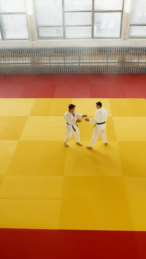 石井陽介