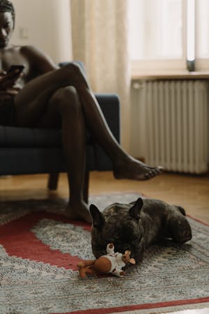 Maxime Dupont