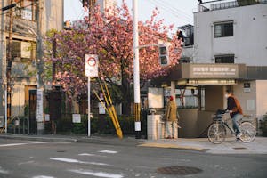 岡田涼