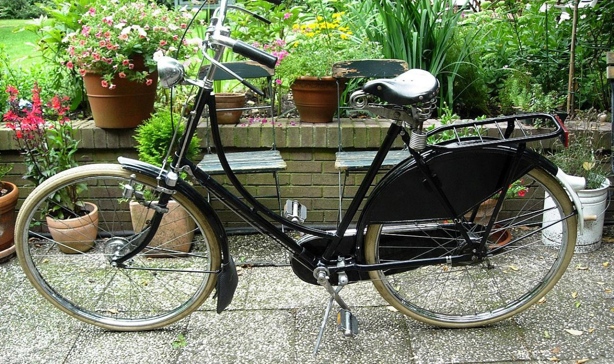Gazelle Bikes And City Life