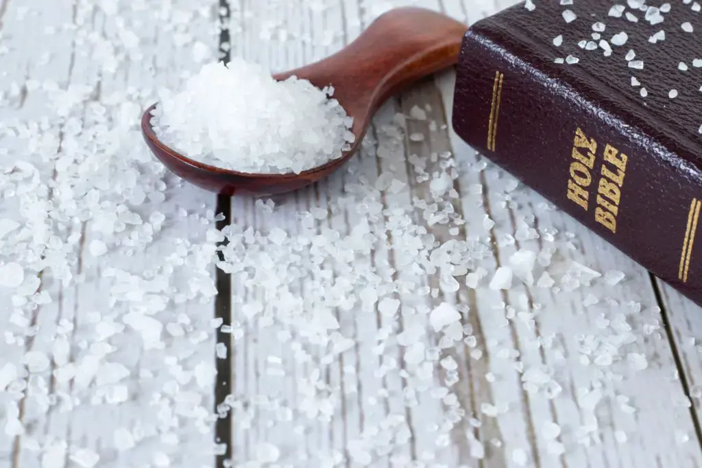1. The Salt Covenant