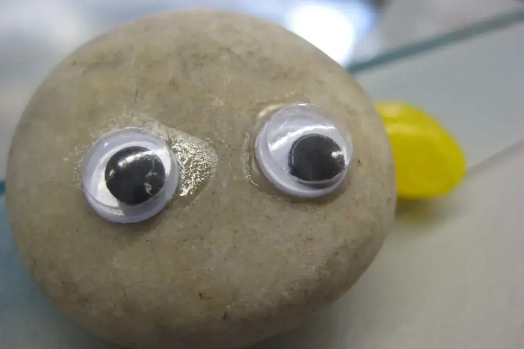 1. Pet Rocks
