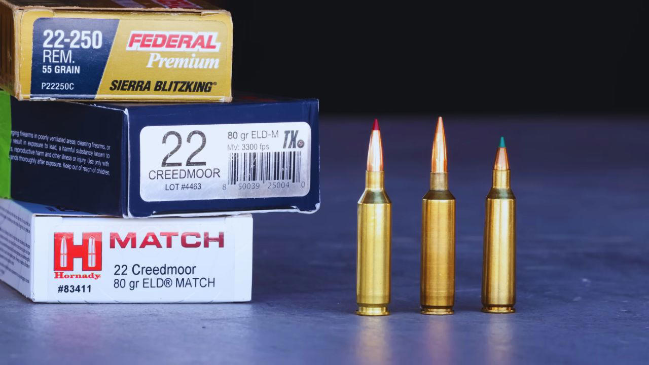 The .22 Creedmoor: Is it worth the buzz?
