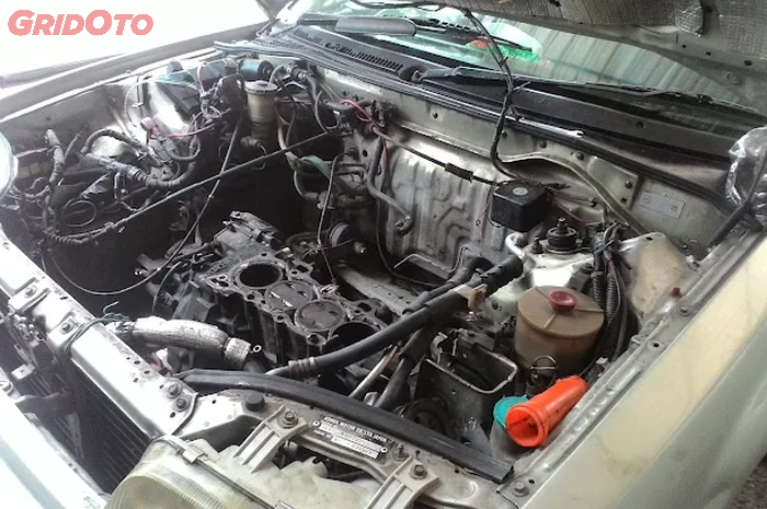 mobil, tikus, mesin, mesin mobil, ruang mesin, Cegah Tikus Masuk ke Ruang Mesin Mobil, Ini Langkah dan Tips nya!