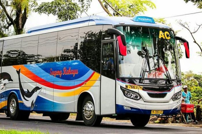 sopir bus, royalti, bus sugeng rahayu, royalti lagu, Royalti Bus, Kabin Bus Sugeng Rahayu Senyap, Perkara Royalti Bikin Sopir Bus Isap Permen Biar Betah Melek