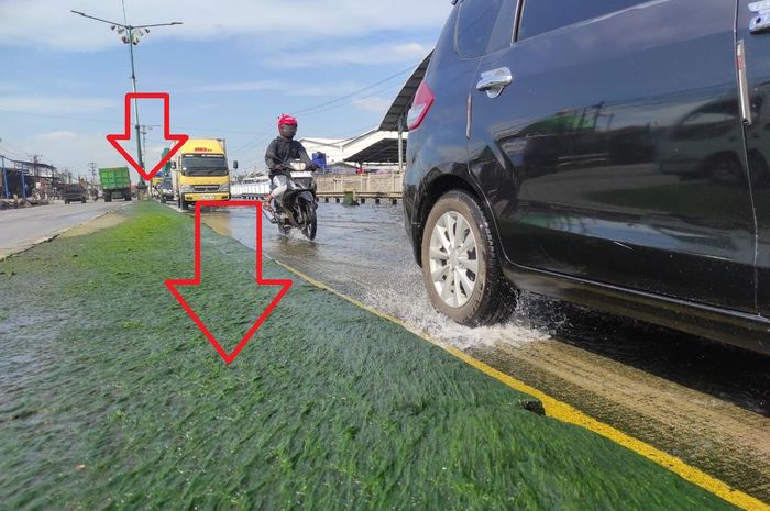 Jalur Pantura Demak, Banjir Rob Sayung Demak, Lumut Sayung Demak, Sayung Demak, Jalan Ditumbuhi Lumut, Pemancing Suka Lihat Ini, Jalur Pantura Sayung Demak Subur Ditumbuhi Lumut Hijau
