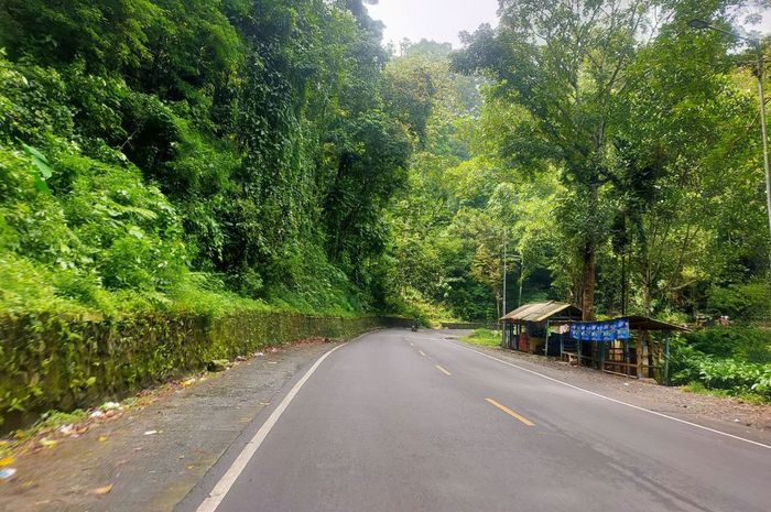 jember, Gumitir, Jalur Gumitir, Jalur Gumitir Ditutup, Jalan Pantura Situbondo, Jalur Legendaris Gumitir Segera Ditutup, Ini Penyebab dan Rute Pengalihannya