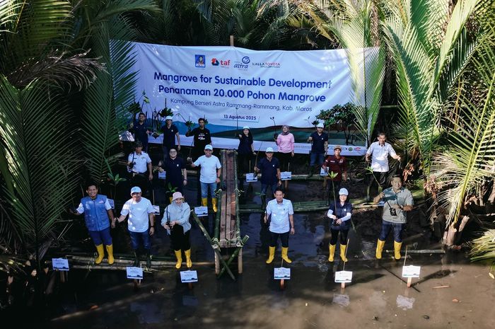 asuransi astra, kalla toyota, astra group, Toyota Astra Financial Services (TAF), Astra Credit Companies (ACC), Astra Group dan Kalla Toyota Gandengan Tangan, Tanam 20.000 Bibit Mangrove di KBA Rammang-Rammang, Maros