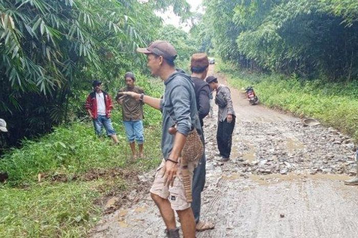 Jalan Rusak, fortuner, pajero sport, dana desa, jalan desa, Bupati Lebak Hasbi Jayabaya, Mobil Mewah Kades, Bupati Lebak Pertanyakan Dana Desa ke Kades-kades Bermobil Mewah, Jalan Kok Masih Rusak?