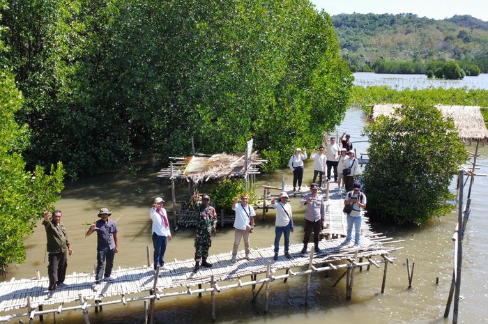 mpm honda jatim, PT Mitra Pinasthika Mustika Tbk, penanaman bibit mangrove, MPM Honda Jatim dan MPMX Bergandeng Tangan, Tanam 40 Ribu Bibit Mangrove di Manggarai Barat