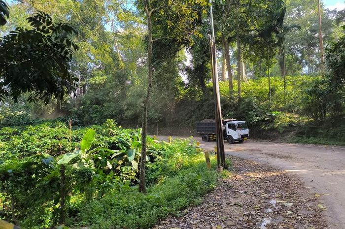 gunung gumitir, Jalur Gumitir, Sejarah Jalur Gumitir, Pal Kuning Gumitir, Tikungan Mbah Singo, Fakta Sejarah Jalur Legendaris Gumitir Jember, Salah Satu Tempat Buang Mayat PKI
