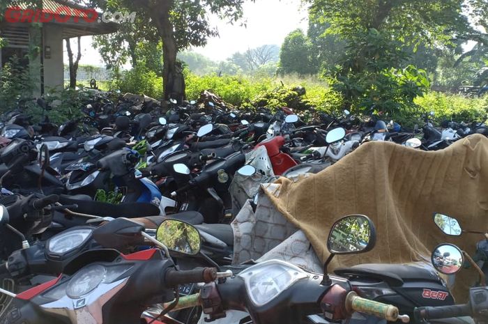 lelang motor, Motor Sitaan Tilang, Motor Hasil Tilang, Lelang Motor Kejari Tulungagung, Lelang Motor Tilang, Buruan Diambil, Kejari Tulungagung Segera Cari Majikan Baru Untuk 70 Unit Motor Terlantar Ini